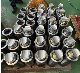 Hydraulic jack for hatch cover